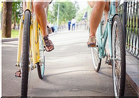 Two friends on bicycles