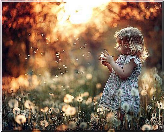 girl in a field with dandelions