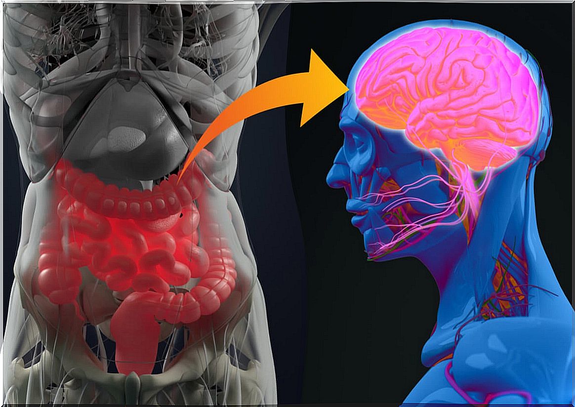 Gut microbiota and Alzheimer's, how are they related?