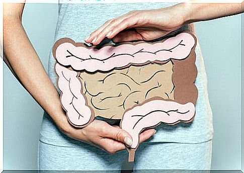 Mental digestion: key in intestinal problems