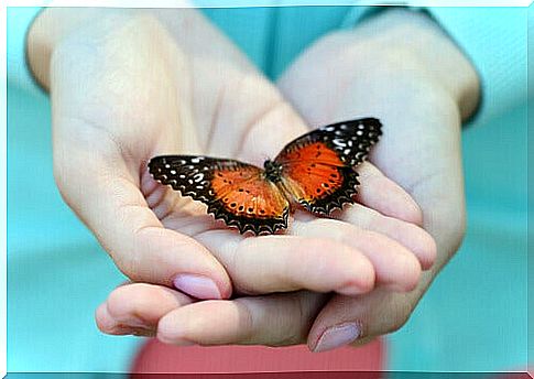 Hand with a butterfly symbolizing appreciation