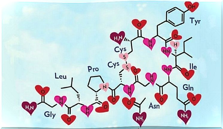 Oxytocin in the moral brain