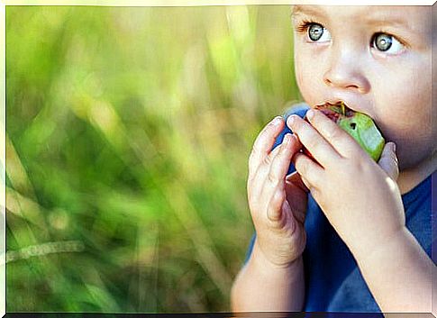 Boy eating an apple