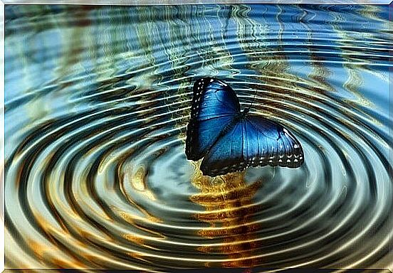 The theory of chaos or when the flapping of a butterfly changes everything