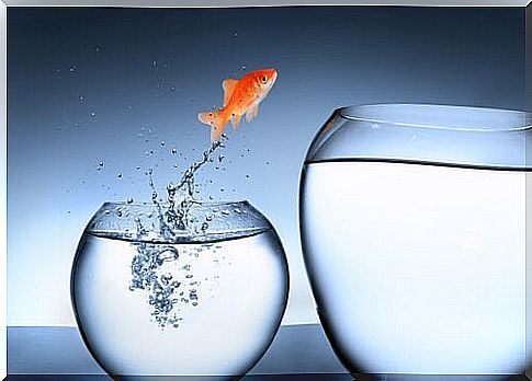 Fish jumping from one fish tank to another representing those who dare to think differently